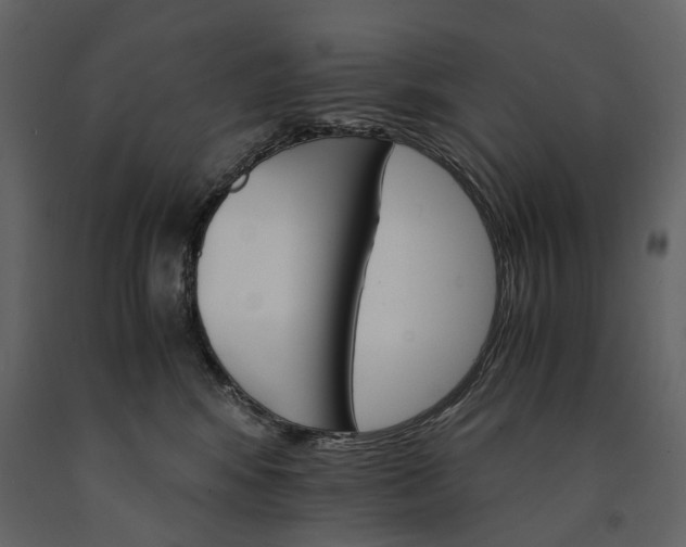 X0000091180424200708231533