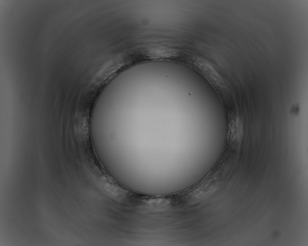 X0000091180426200708231533