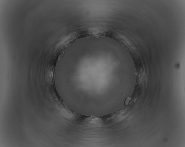 X0000091180427200708231533