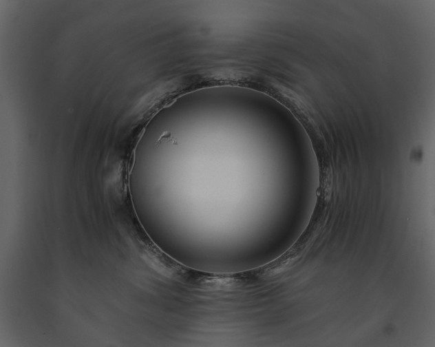 X0000091180428200708231533