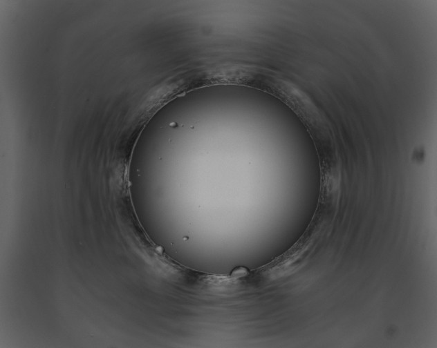 X0000091180429200708231533