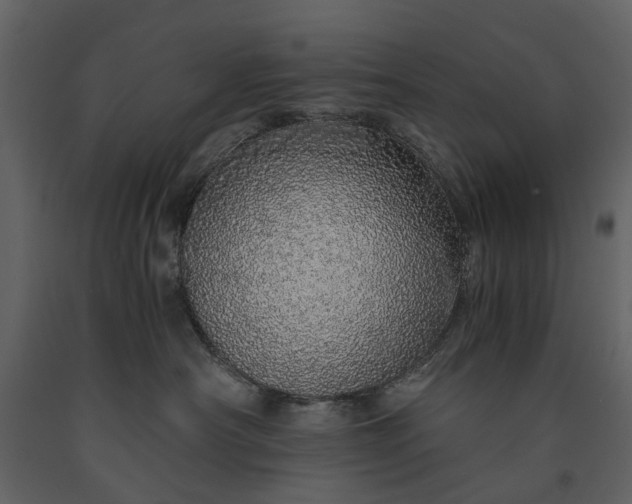 X0000091180430200708231533