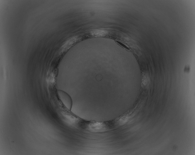 X0000091180431200708231533