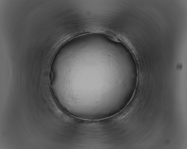 X0000091180433200708231532