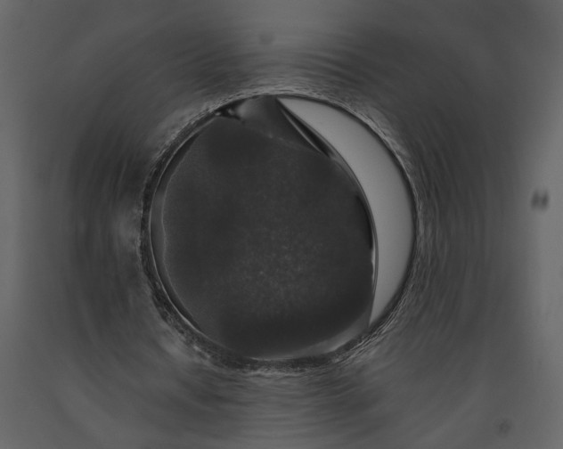 X0000091180434200708231532