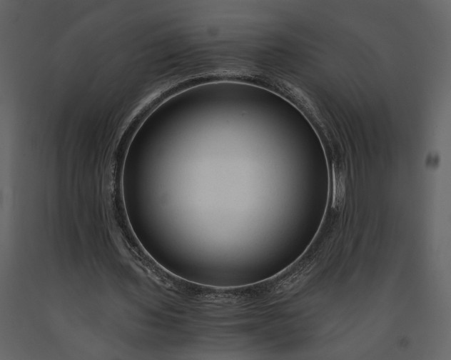 X0000091180435200708231532