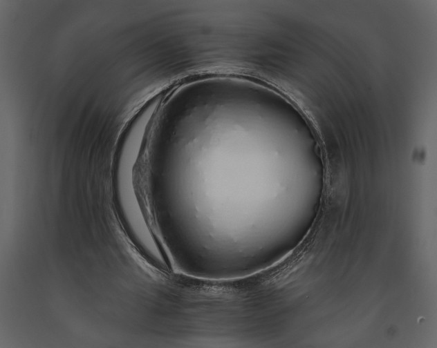 X0000091180437200708231532