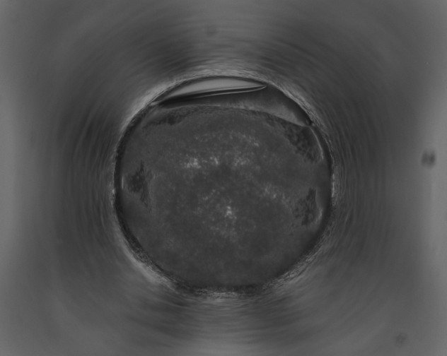X0000091180438200708231532