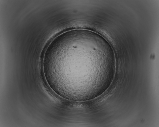 X0000091180439200708231532