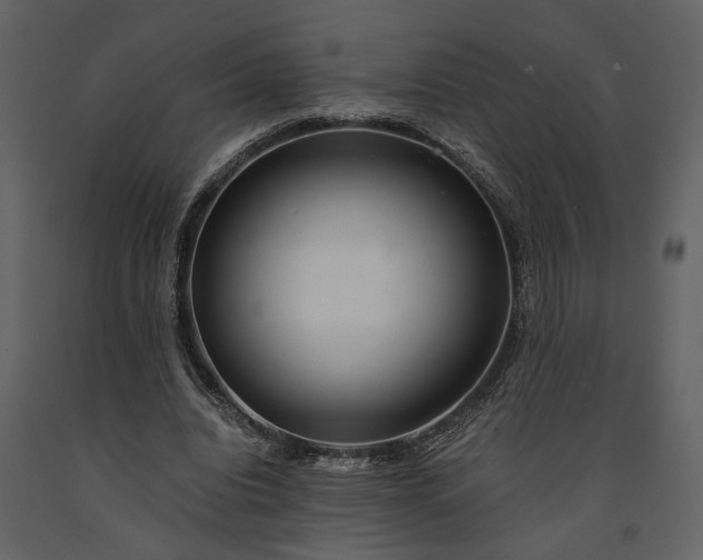 X0000091180440200708231532