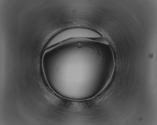 X0000091180442200708231532