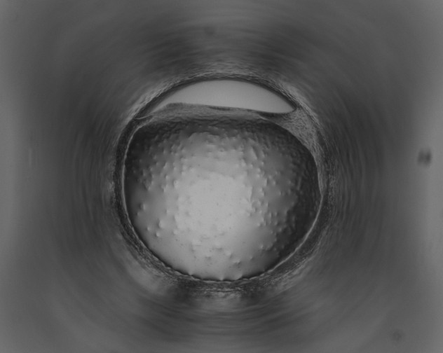 X0000091180443200708231532