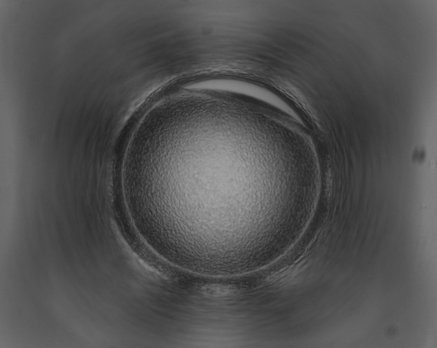 X0000091180444200708231532
