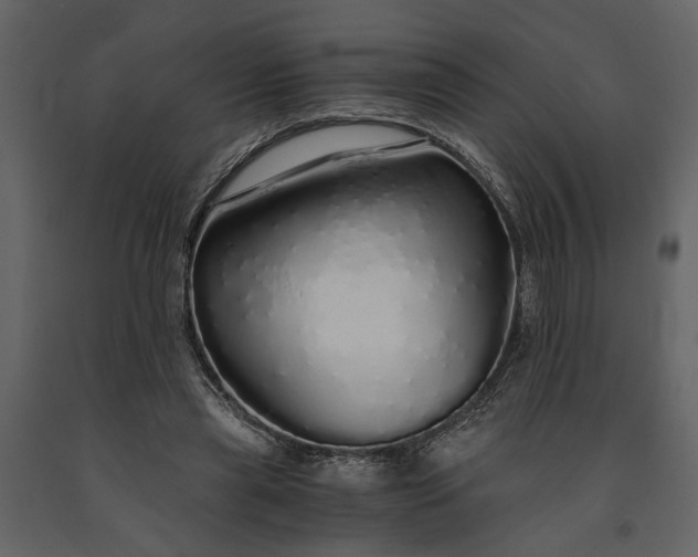 X0000091180445200708231532