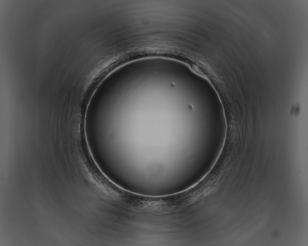 X0000091180446200708231532