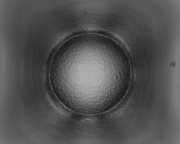 X0000091180447200708231532