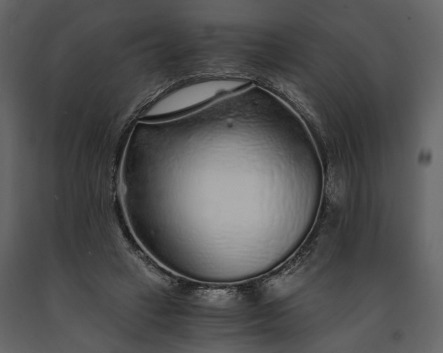 X0000091180449200708231532