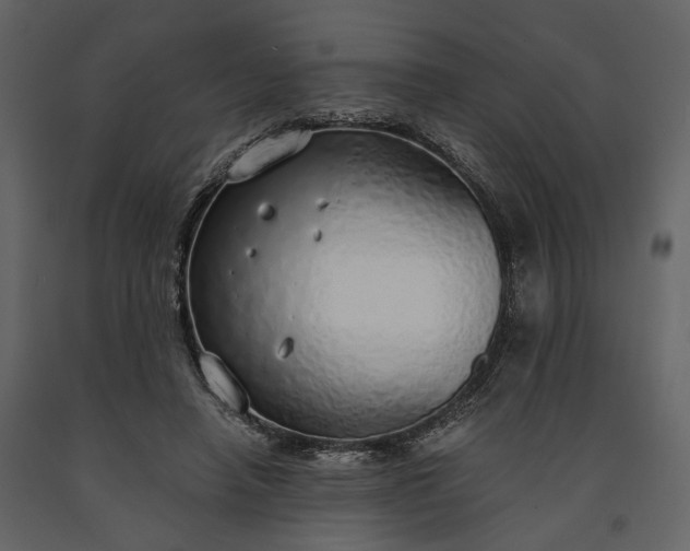 X0000091180450200708231532