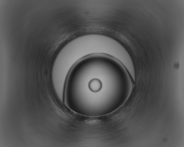 X0000091180452200708231532