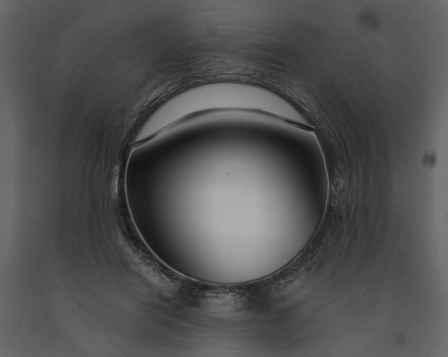 X0000091180454200708231532