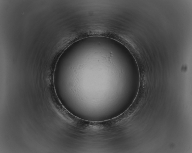 X0000091180455200708231532