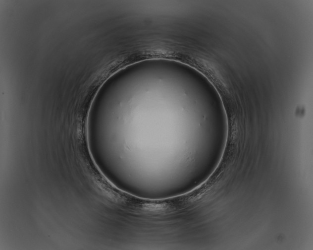 X0000091180457200708231533