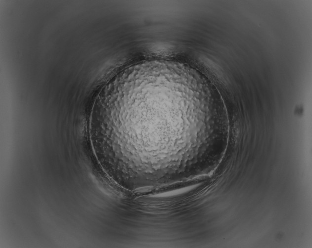 X0000091180459200708231533