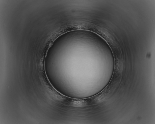 X0000091180461200708231533