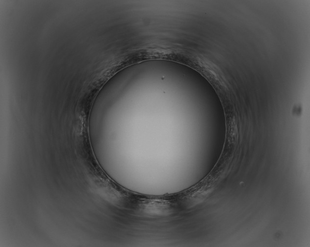 X0000091180463200708231533