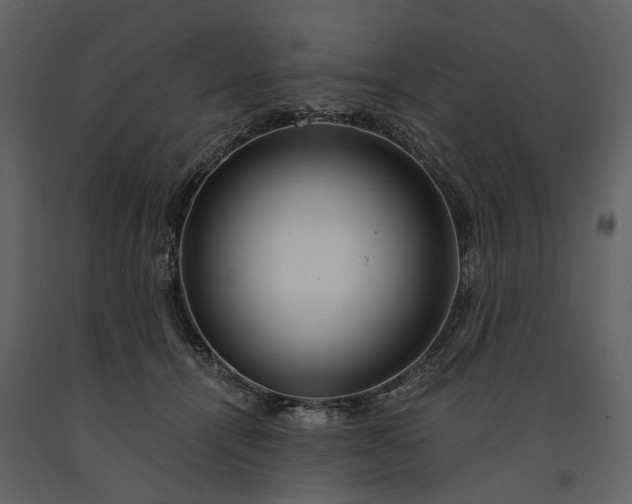 X0000091180464200708231533