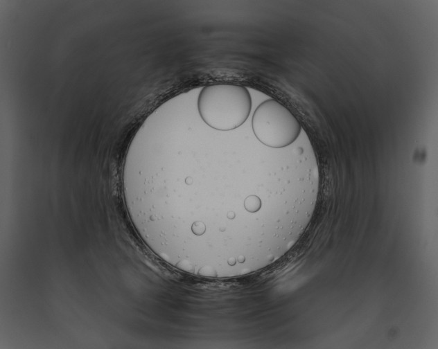 X0000091180465200708231533