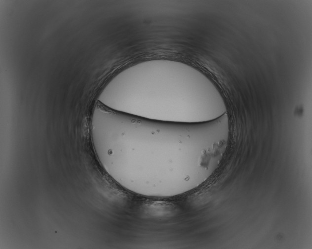 X0000091180467200708231533