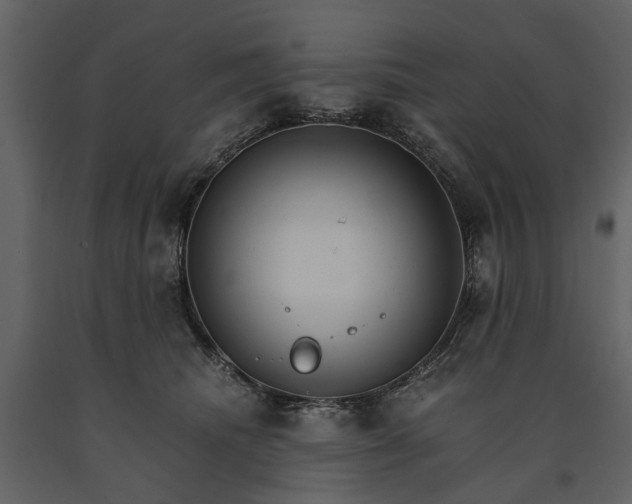 X0000091180468200708231533