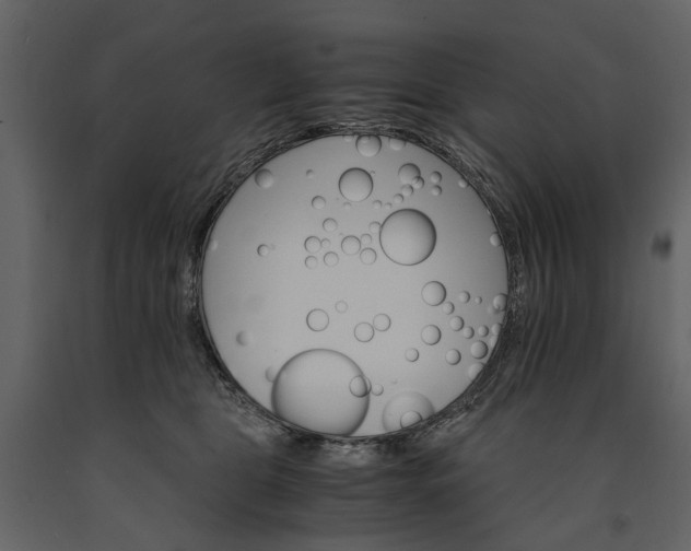 X0000091180469200708231533