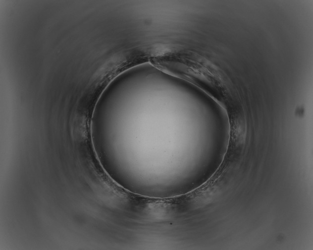 X0000091180470200708231533