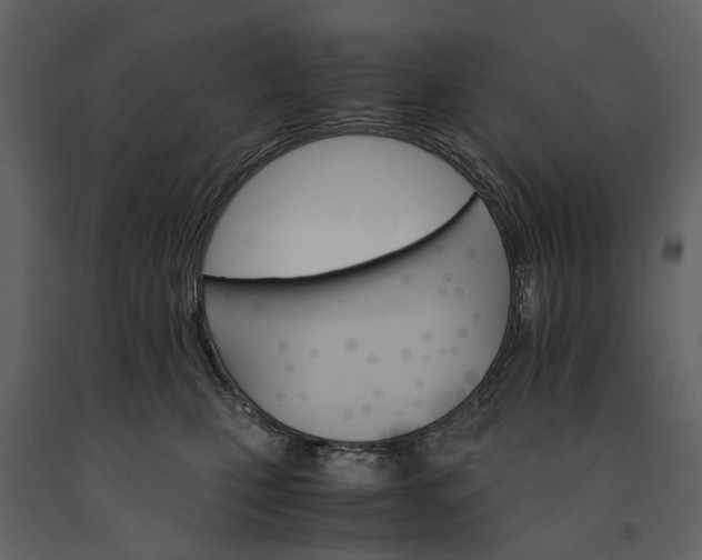 X0000091180471200708231533