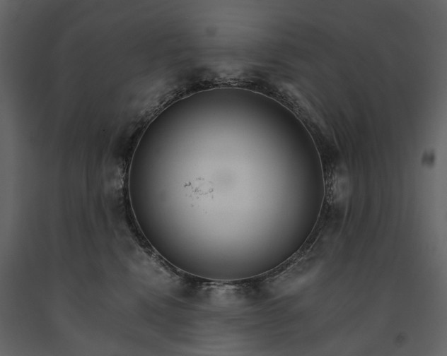 X0000091180472200708231533