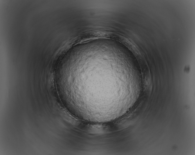 X0000091180473200708231533