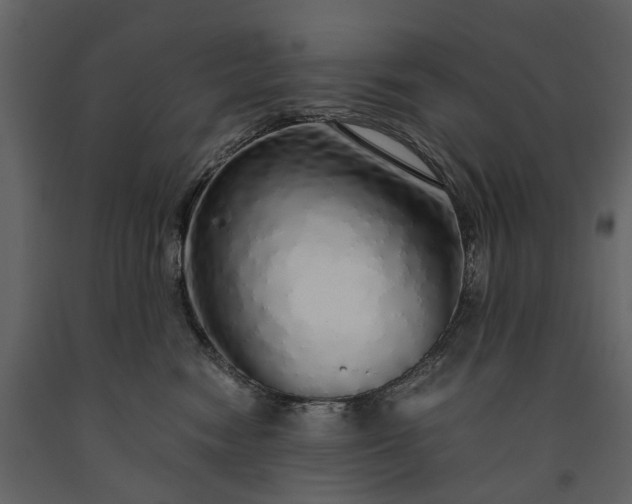 X0000091180474200708231533