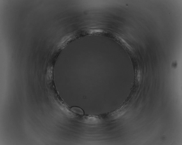 X0000091180475200708231533