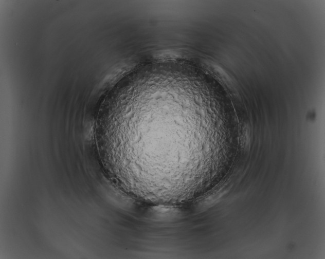 X0000091180477200708231533