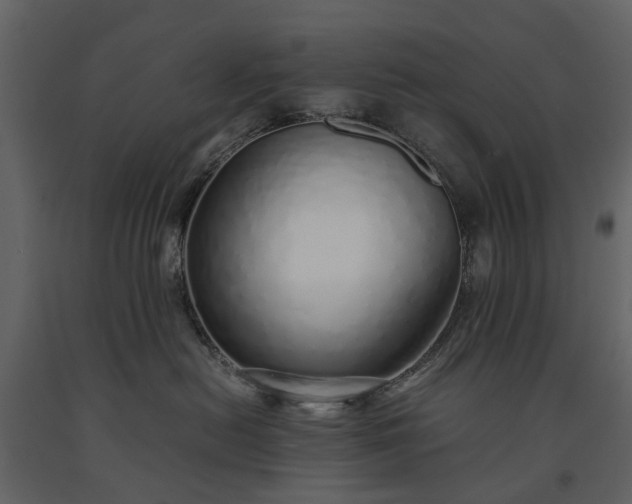 X0000091180478200708231533