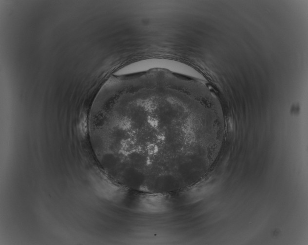 X0000091180479200708231533