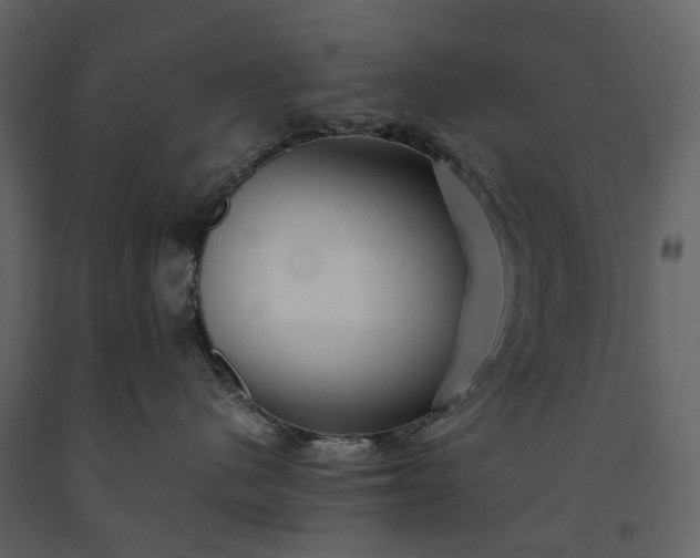 X0000091180480200708231533