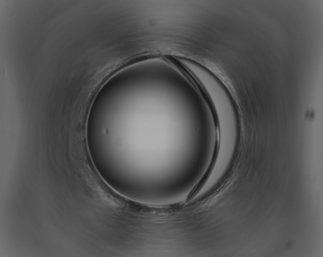 X0000091180481200708231532