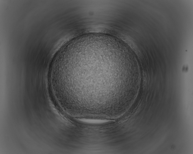 X0000091180482200708231532