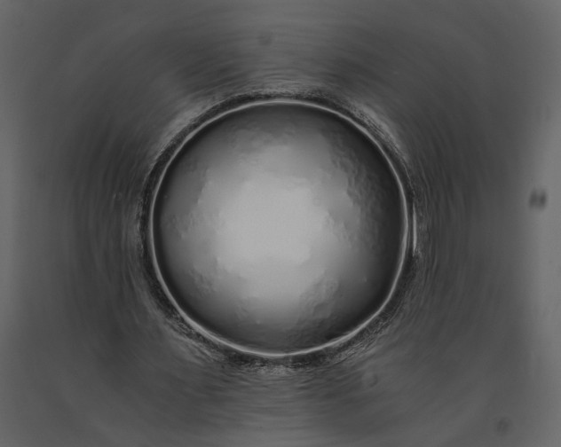 X0000091180483200708231532