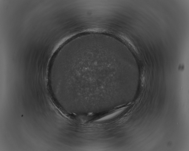 X0000091180484200708231532
