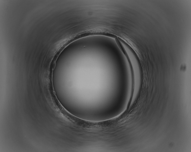 X0000091180485200708231532