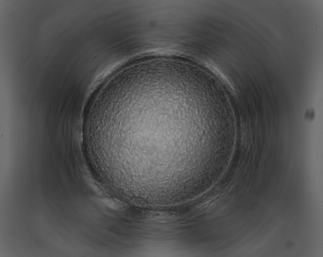 X0000091180486200708231532